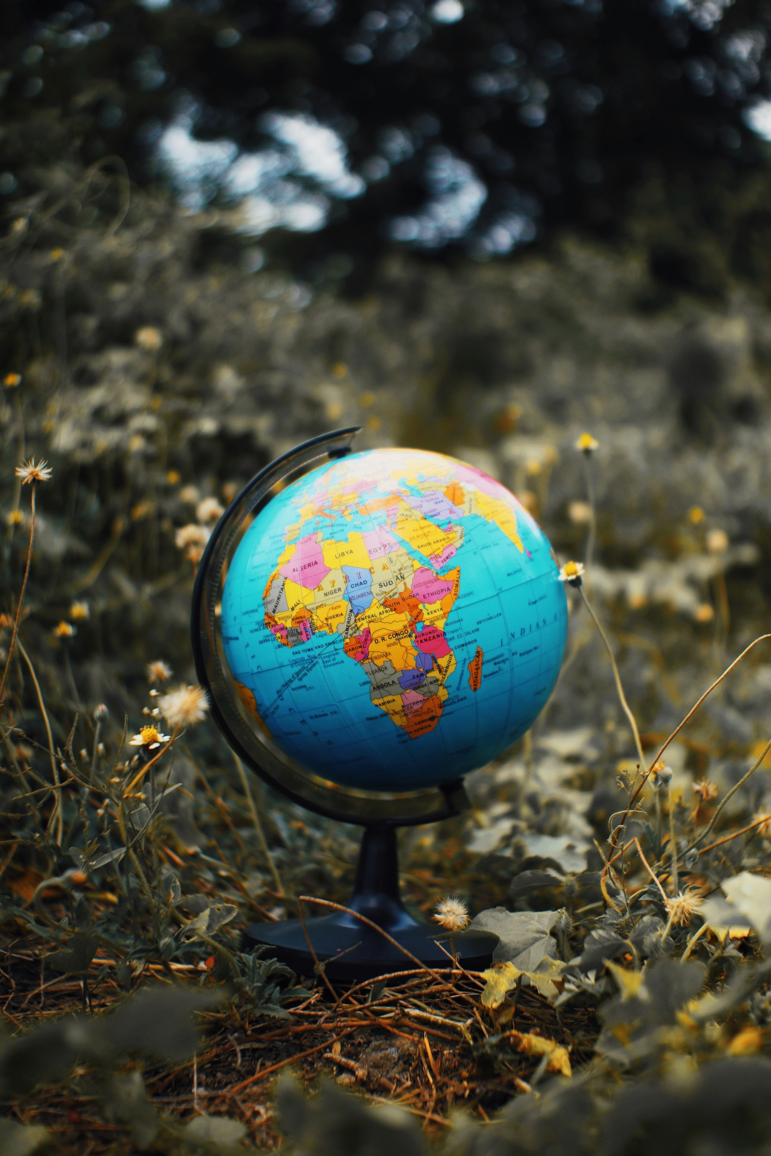 Eco-Adventure Planning Course: Sustainable World Travel Strategies